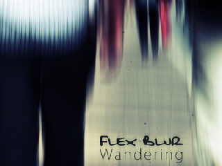 Wandering (11/03/13)